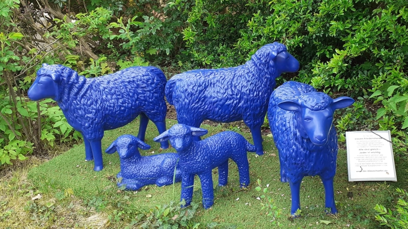 Fünf auffällig blaue Schafe zieren den Vorgarten von Johann Buckel in Herrieden. Ein Kunstprojekt, das in ganz Europa auf ein friedliches Miteinander hinweist. (Foto: Johann Buckel)