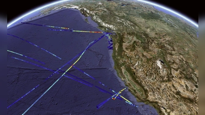 Verteilung der Phytoplankton-Biomasse, gemessen mit SeaFlow-Zytometrie vor der Küste Kaliforniens. Die farbcodierten Linien stellen die Biomassekonzentrationen dar, wobei wärmere Farben (rot-gelb) eine höhere Phytoplanktondichte und kühlere Farben (blau) eine geringere Konzentration anzeigen. (Foto: Francois Ribalet/dpa)