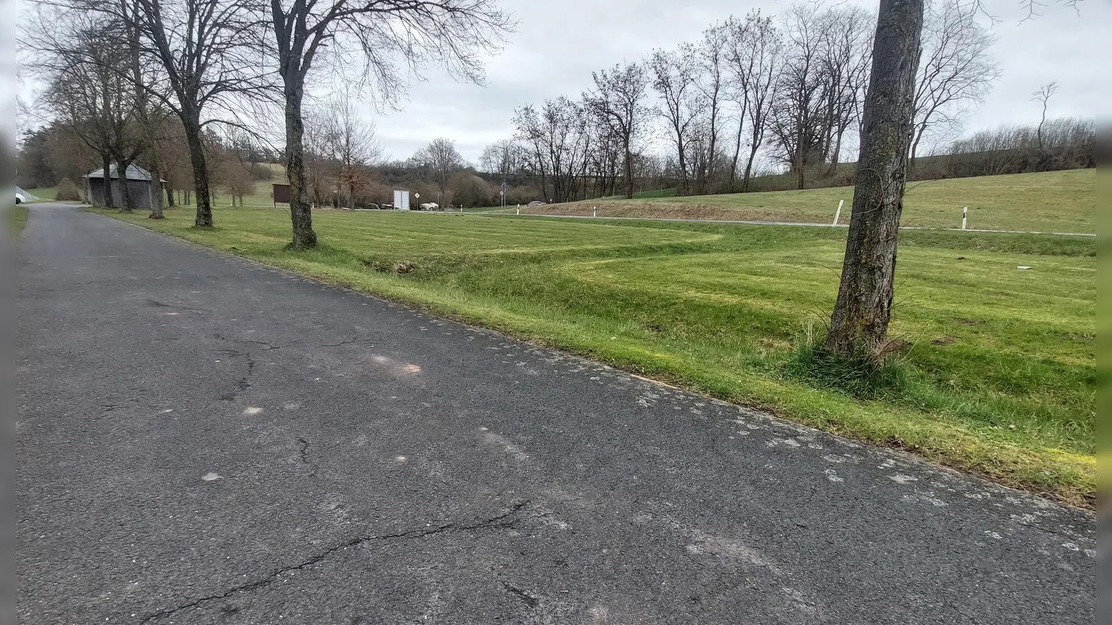 Da ruckelt es gewaltig: Durch die Wurzeln ist der Radweg zwischen Burghaslach und<br>Niederndorf sanierungsbedürftig. (Foto: Sandra Buchwald)