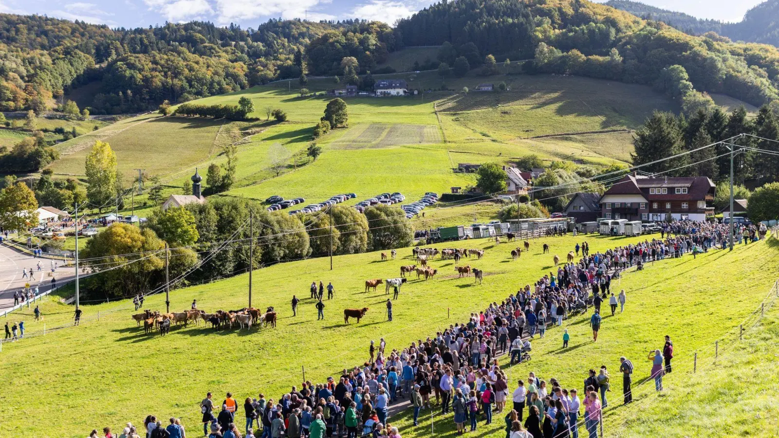 Es ist nach Veranstalterangaben wie ein kleines Volksfest, wenn das Vieh von den Weiden in die Ställe zurückkehrt. (Foto: Philipp von Ditfurth/dpa)