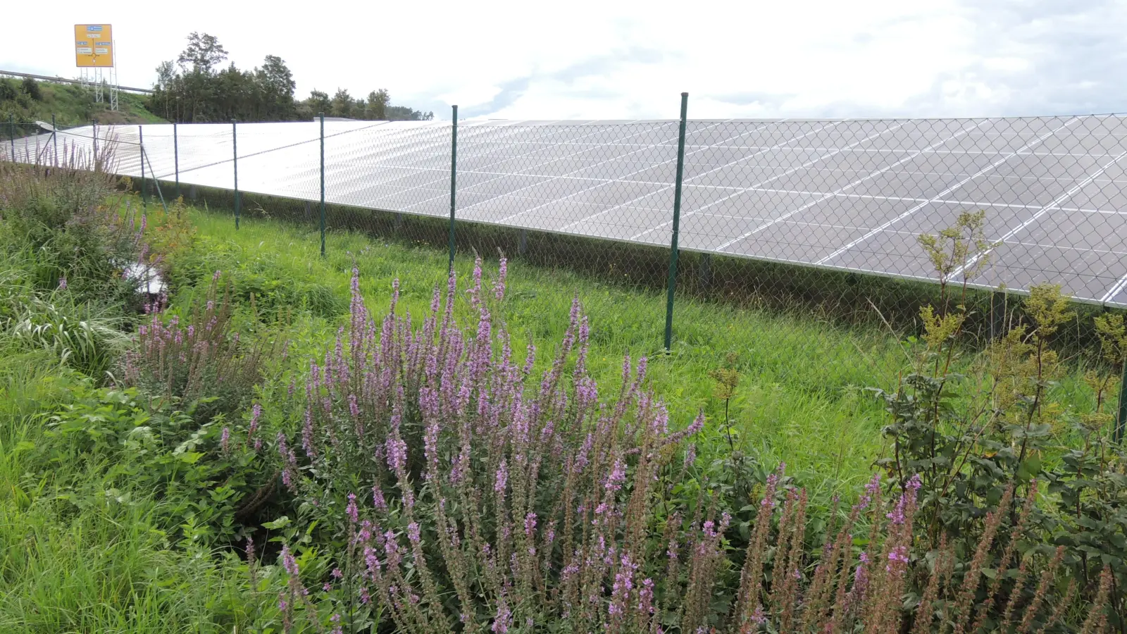 Das Solarfeld unweit des Rehau-Werks ist eine von drei Photovoltaik-Freiflächenanlagen der Stadtwerketochter nahKRAFT GmbH. Eine zweite entsteht aktuell bei der ehemaligen Deponie, die dritte ist bei der Ameisenbrücke geplant. Dazu kommen weitere Module auf Dächern. (Foto: Peter Zumach)