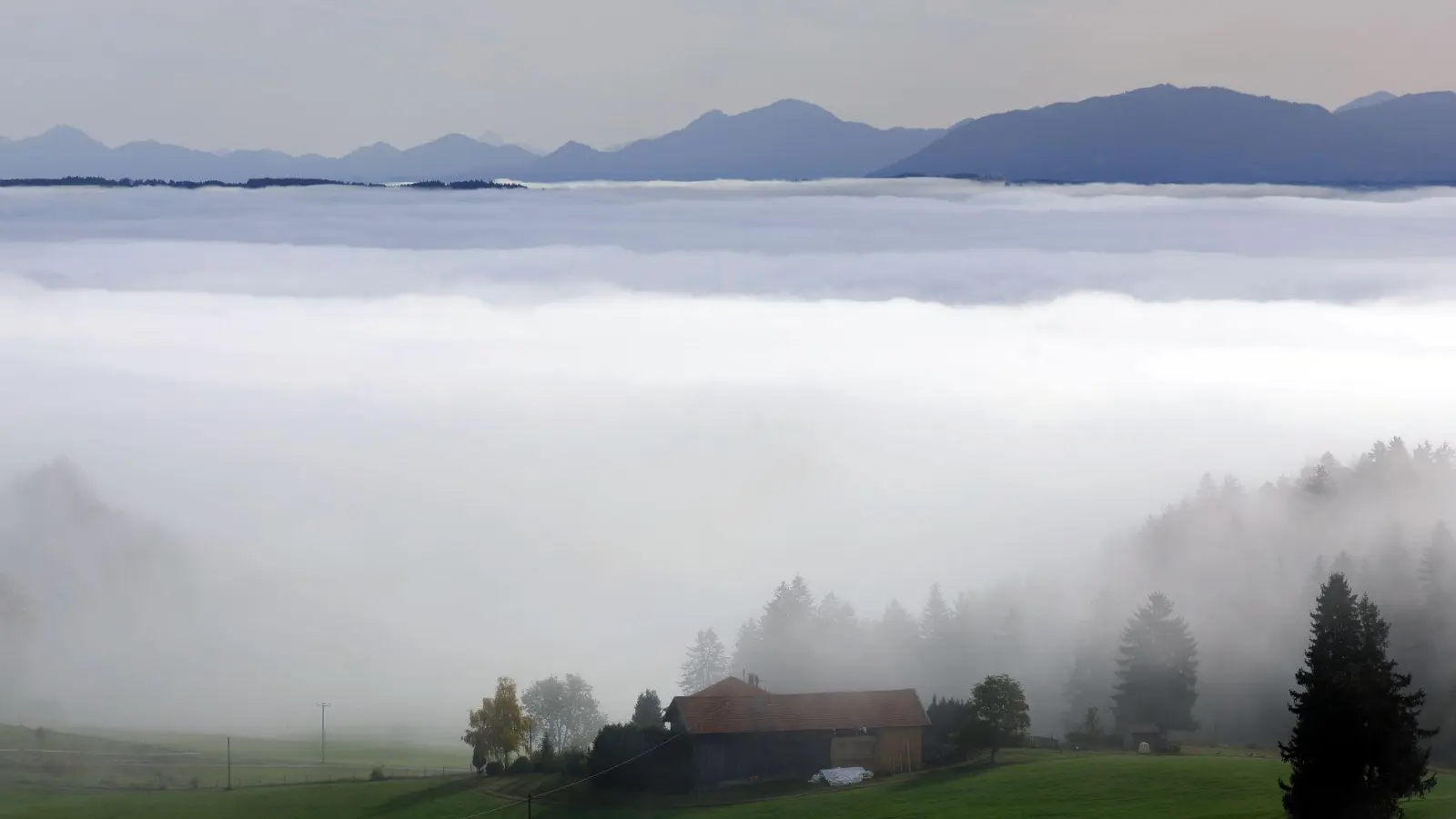 Die neue Realverfilmung von „Heidi“ spielt in den Alpen. (Symbolbild) (Foto: Karl-Josef Hildenbrand/dpa)