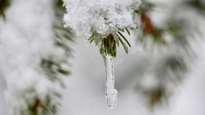 In den Landkreisen Ansbach und Neustadt/Aisch-Bad Windsheim ist am Mittwoch zumindest mit ein bisschen Schnee zu rechnen. (Symbolbild: Matthias Bein/dpa)