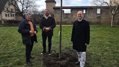 Oberbürgermeister Markus Naser, Klimaschutzmanager Dennis Geißler und Walter Würfel, 1. Vorsitzender Bund Naturschutz, Ortsgruppe Rothenburg (v.r.). (Foto: Thomas Müller / Stadt Rothenburg)