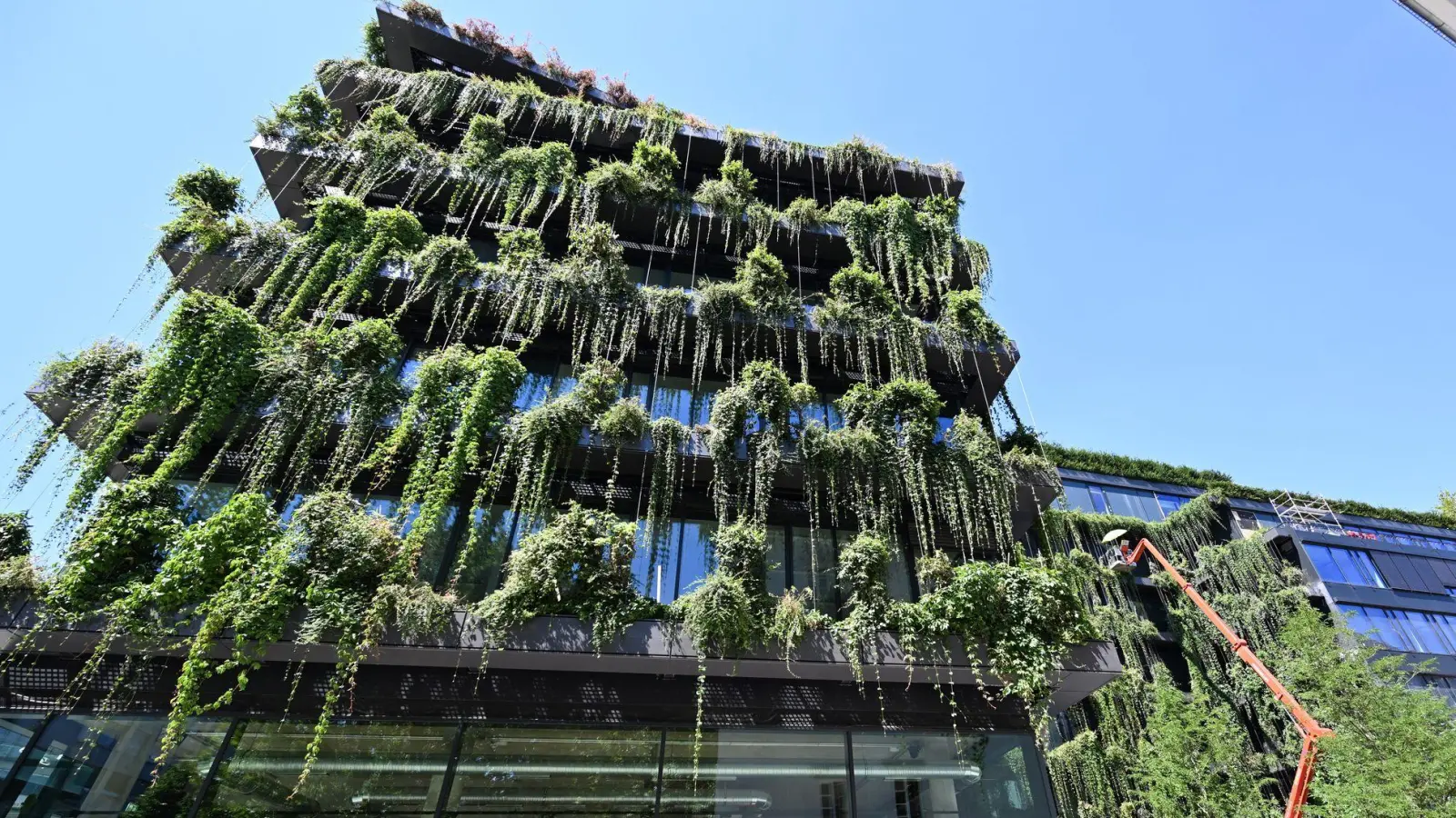 In rund 2000 Gefäßen mit verschiedenen Pflanzen wird dieses Gebäude in Stuttgart begrünt. Damit soll die Fassade durch Verschattung und Verdunstung gekühlt, die Luftqualität gesteigert und Lärm reduziert werden. (Foto: Bernd Weißbrod/dpa/dpa-tmn)