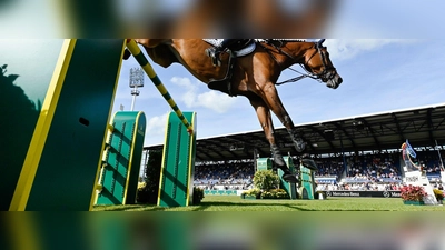 Ein Reiter springt mit seinem Pferd über ein Hindernis. (Foto: Uwe Anspach/dpa/Symbolbild)