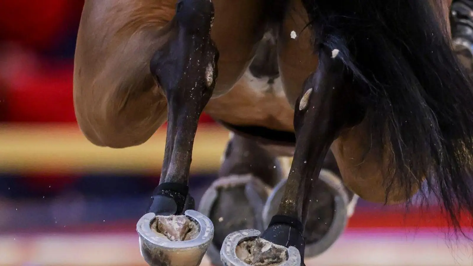 Russische und belarussische Reiter werden bei Olympia in Paris nicht starten. (Foto: Jan Woitas/dpa)