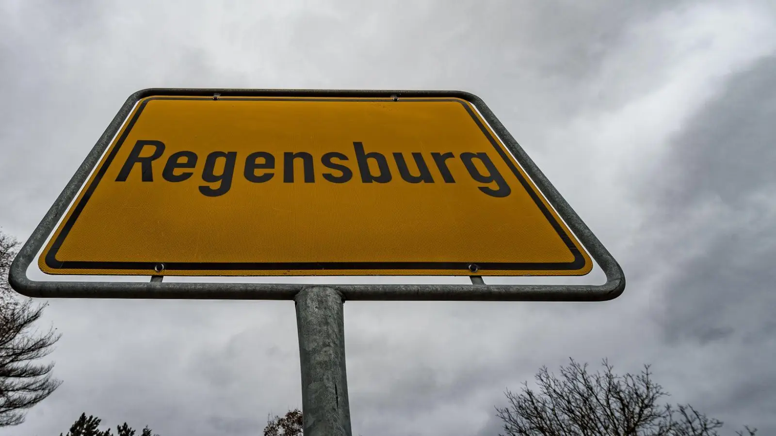 Schon in vergangenen Jahren gab es in Regensburg die meisten Einpersonen-Haushalte. (Symbolbild) (Foto: Armin Weigel/dpa)