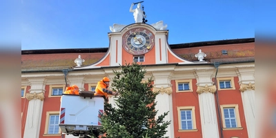 Die Weihnachtstanne ist am Mittwoch auf dem Marktplatz in Bad Windsheim aufgestellt worden. (Foto: Nina Daebel)