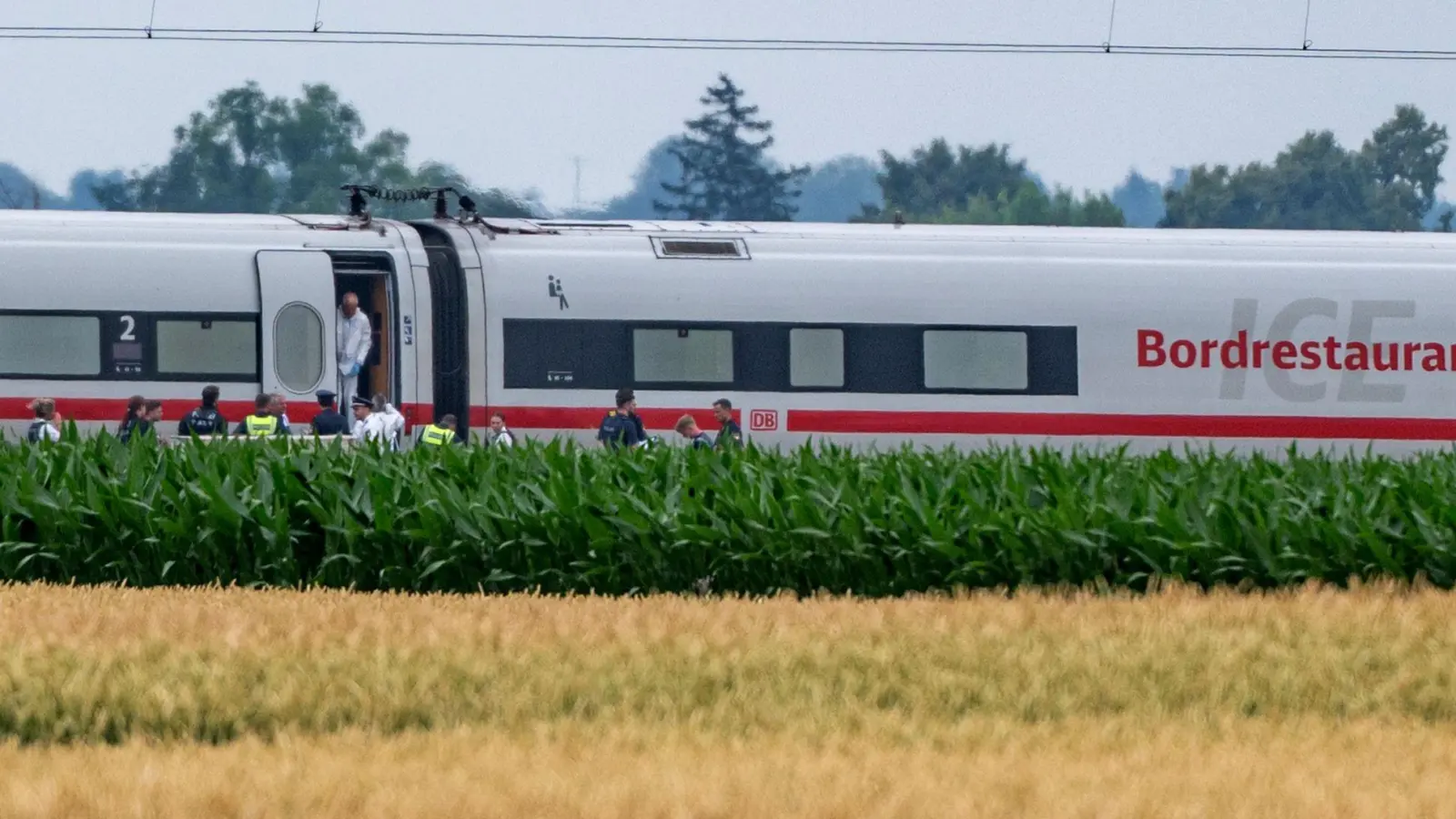 Knapp ein Jahr nach einem Axtangriff in einem ICE in Niederbayern beginnt der Prozess gegen den Beschuldigten. (Symbolfoto) (Foto: Armin Weigel/dpa)