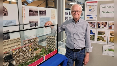 Harald Helgerts Lieblingsplatz innerhalb der Schule ist momentan das Foyer, in dem das Seidenraupen-Projekt präsentiert wird. Dort kann man den Tieren beim Spinnen ihrer Kokons zuschauen. (Foto: Nina Daebel)