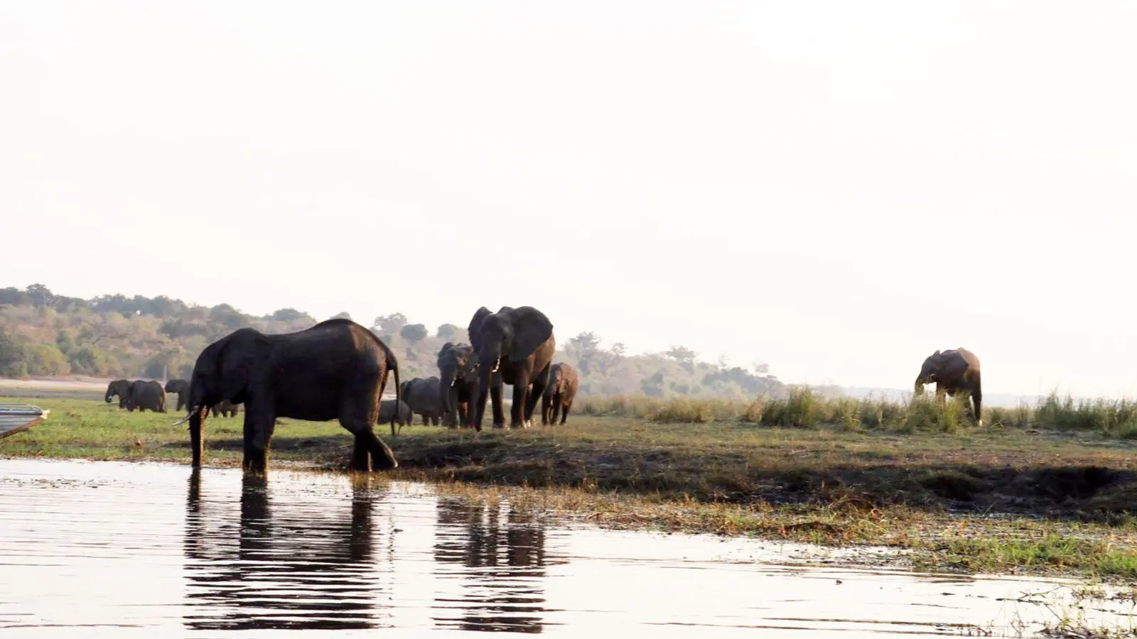 Namibia und das benachbarte Botsuana galten jahrzehntelang als eine Art Vorreiter beim Tierschutz. Doch die dramatischen Trockenperioden der vergangenen Jahre haben zwischen Bevölkerung und Wildtieren einen immer stärkeren Wettlauf um den kostbaren Lebensraum ausgelöst. (Foto: Lisa Ossenbrink/dpa)