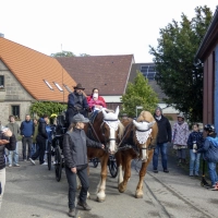 Die elegante Kutsche war eine Bereicherung und zog viele Blicke auf sich. (Foto: Karl-Heinz Gisbertz)