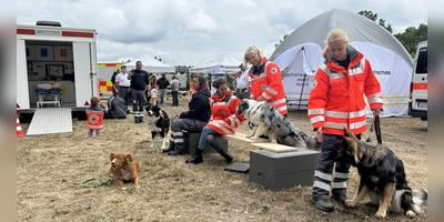 Alles Blaulicht: Neben Polizei, Feuerwehr und Wasserwacht präsentierte sich das Rote Kreuz auch mit einer Hundestaffel. (Foto: Florian Pöhlmann)