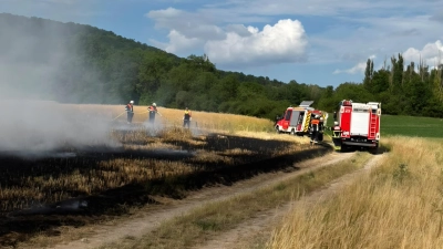 Von dem Feldbrand in der Nähe von Ippesheim waren rund 600 Quadratmeter Acker betroffen.  (Foto: Kreisfeuerwehrverband NEA/Rainer Weiskirchen)