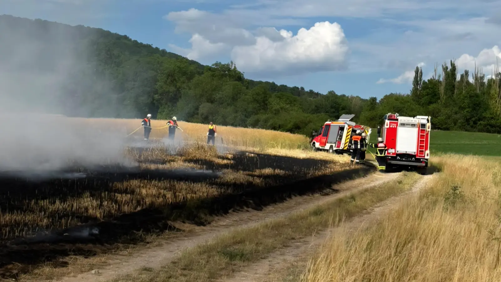 Von dem Feldbrand in der Nähe von Ippesheim waren rund 600 Quadratmeter Acker betroffen.  (Foto: Kreisfeuerwehrverband NEA/Rainer Weiskirchen)