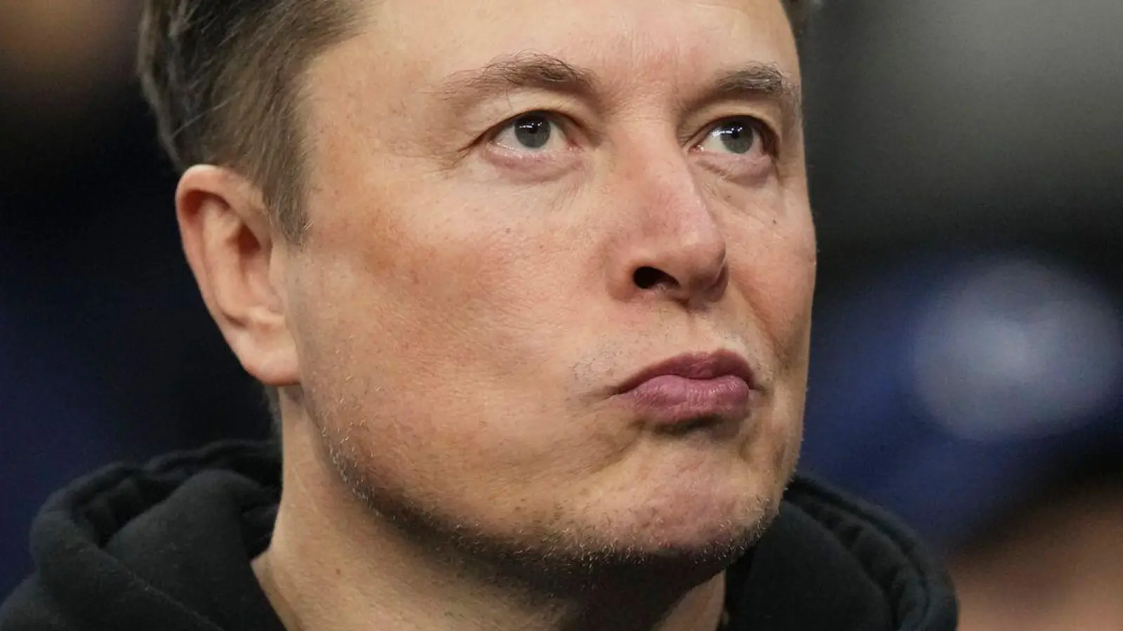 Elon Musk führt schon länger eine Fehde gegen den ChatGPT-Entwickler OpenAI. (Archivbild) (Foto: Matt Rourke/AP/dpa)