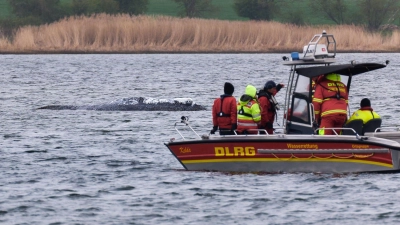 Die DLRG will am Mittwoch aus Kirchdorf auf Poel abziehen. (Foto: Marcus Golejewski/dpa)