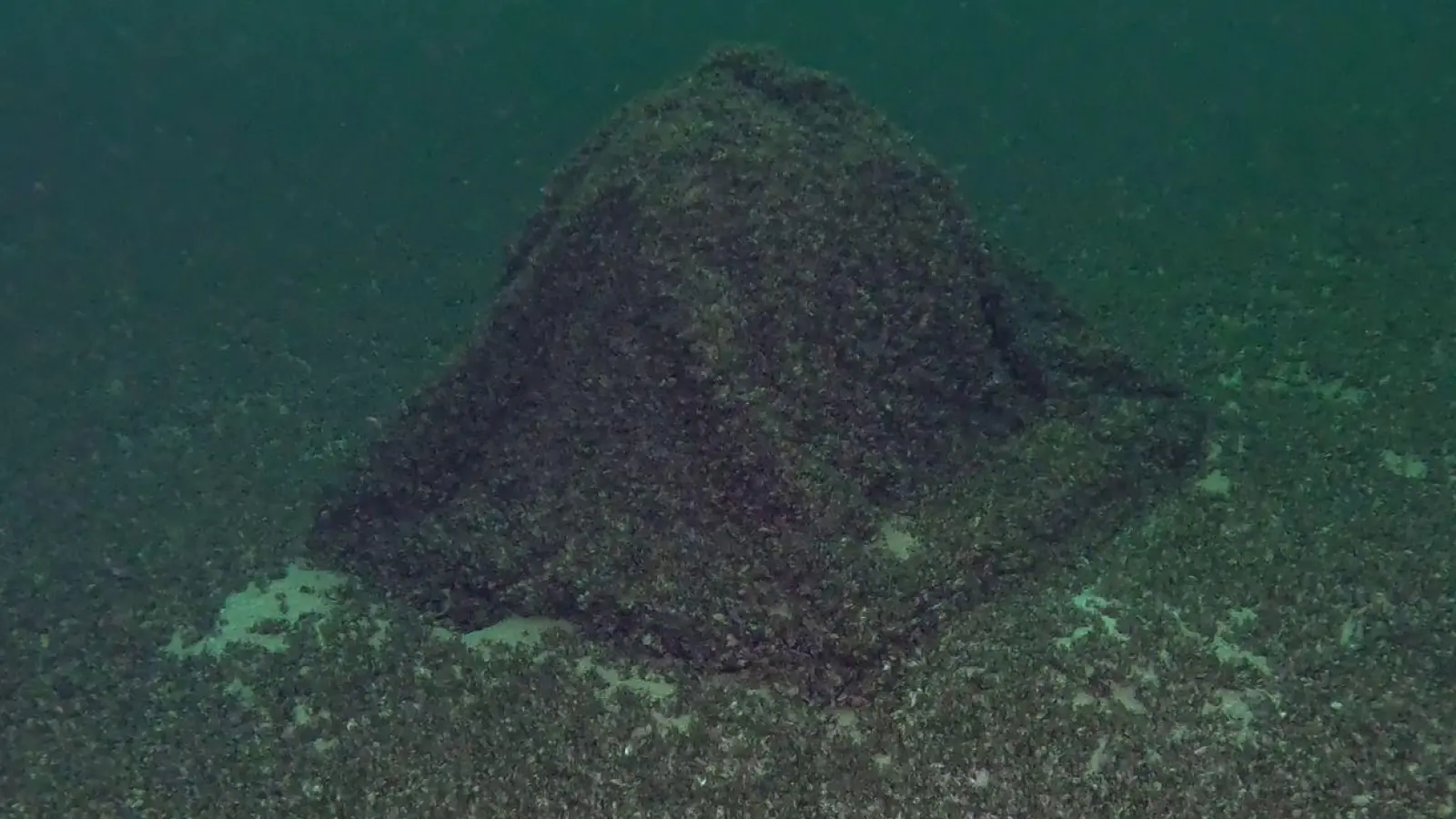 Die Kugel war auf den ersten Blick nicht zu erkennen. (Foto: -/Schiffbergeverein/dpa)