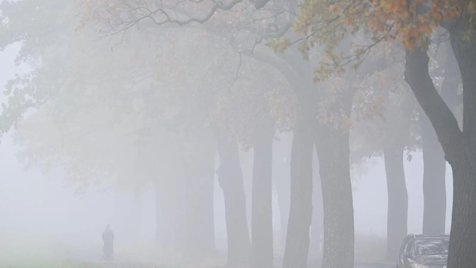 Das Wetter bleibt am Wochenende oft grau. (Archivbild)  (Foto: Patrick Pleul/dpa)