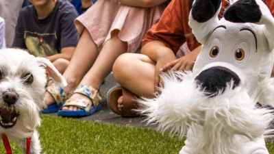 60 Jahre Idefix: Das Museum für Kommunikation suchte den besten Doppelgänger des Comic-Hundes. (Foto: Carsten Koall/dpa)