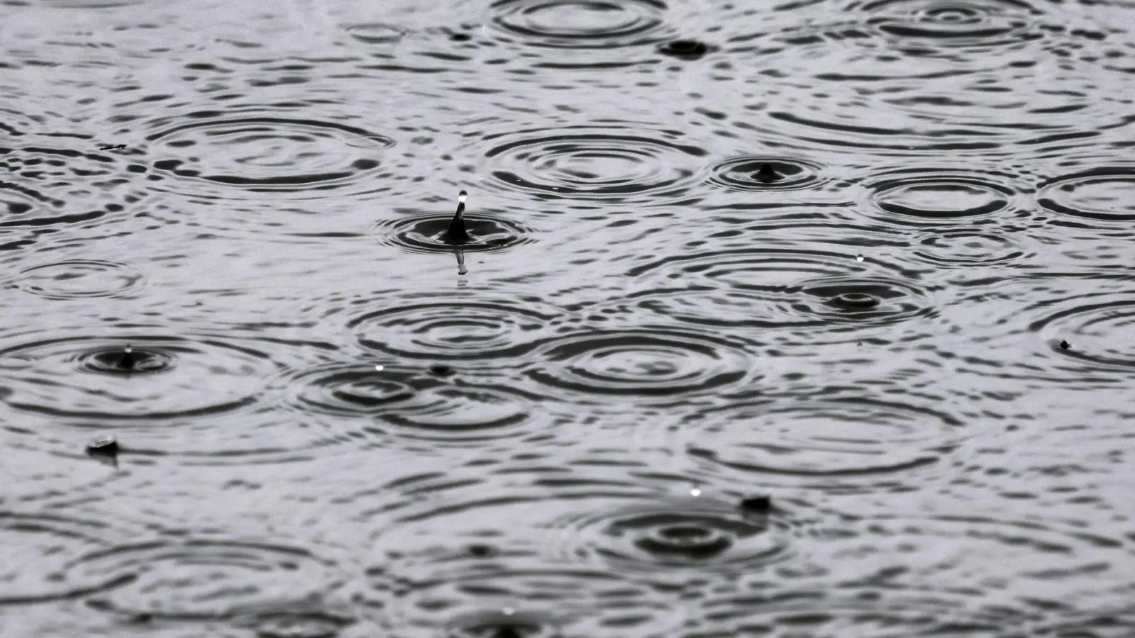 Mancherorts soll so viel Regen fallen wie sonst in einem Monat. (Archivbild) (Foto: Karl-Josef Hildenbrand/dpa)