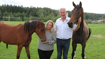 Bis sie &quot;in Arbeit genommen&quot; werden, dürfen die Jungtiere in der Aufzucht bei Simone und Thomas Visser in Obermosbach eine Art &quot;Kindergarten&quot; auf der Koppel genießen und miteinander spielen.  (Foto: Kristina Schmidl)