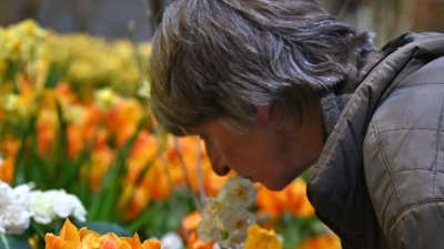Die Besucherzahl auf der diesjährigen Woche übertraf die Erwartungen deutlich. (Archivbild) (Foto: Elisa Schu/dpa)