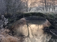 Winterzauber an der alten Zennbrücke - gesehen bei Adelsdorf (Foto: Johannes Enzner)