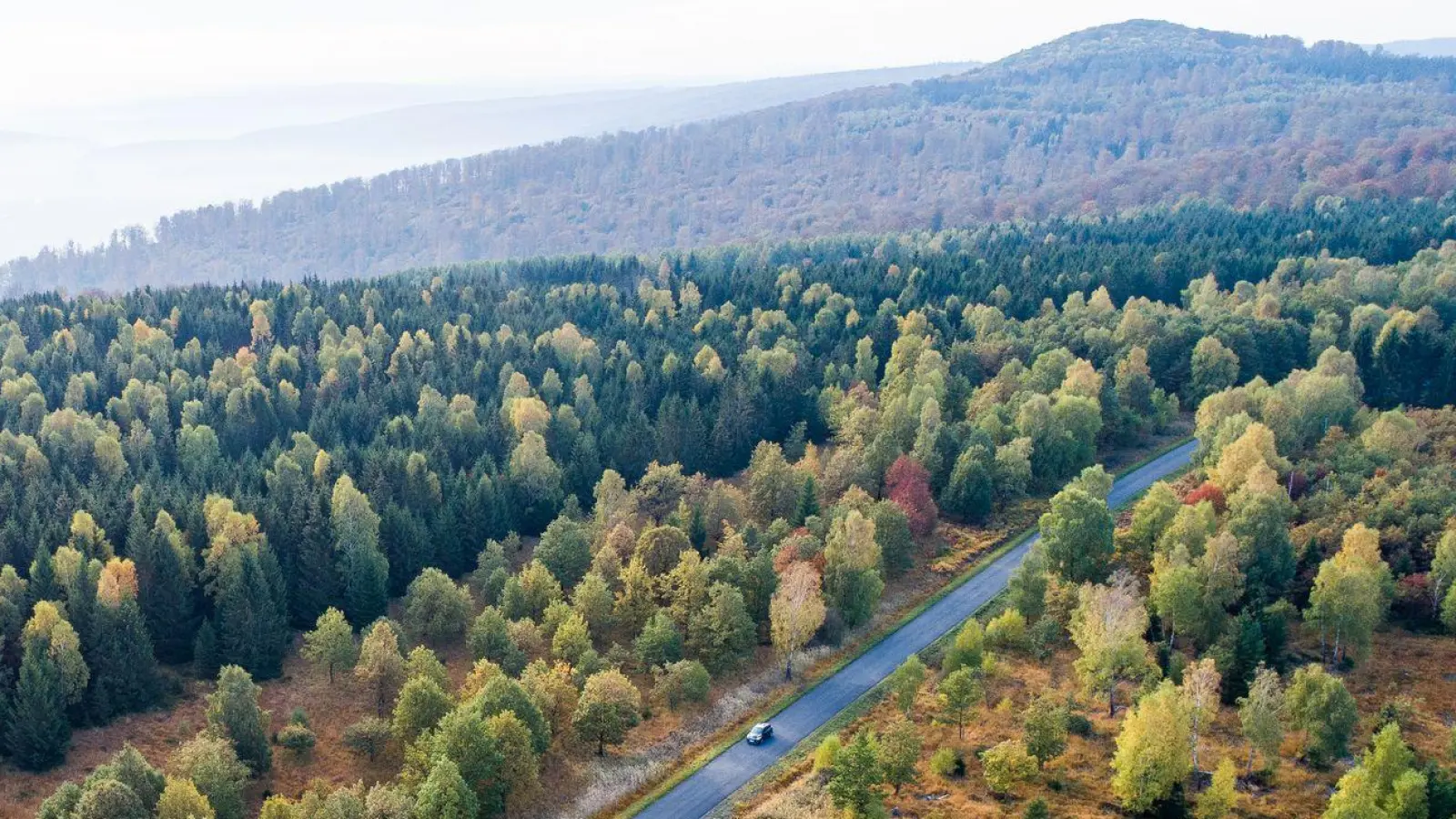Die Forschenden empfehlen verschiedene Varianten, um das Klima zu schützen. (Symbolbild) (Foto: Swen Pförtner/dpa)