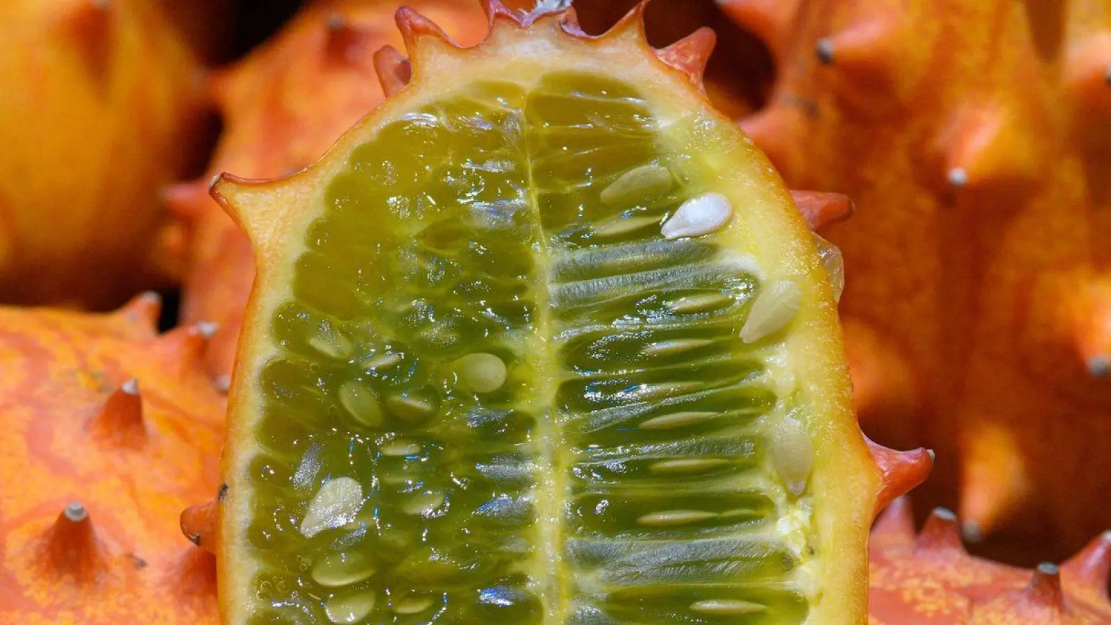 Exotisches Kürbisgewächs: Die Kiwano erinnert mit ihrem glibbrigen Inneren geschmacklich an eine Passionsfrucht. (zu dpa: „Sie mögen es glibbrig? Dann ist die Horngurke Ihr Ding“) (Foto: Klaus-Dietmar Gabbert/dpa-tmn/dpa)