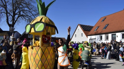 Faschingsumzug in Ornbau: Tropische Stimmung im Februar? (Foto: Christina Özbek)