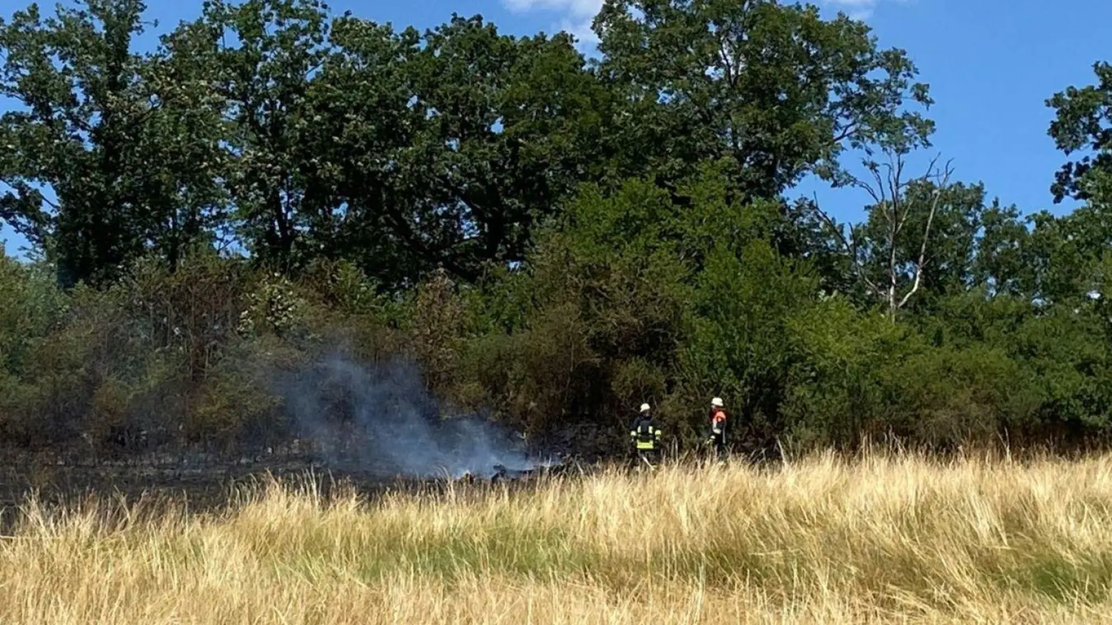 Feuerwehrkräfte mussten einen Flächenbrand zwischen Humprechtsau und Berolzheim bei Bad Windsheim löschen. (Foto: Rainer Weiskirchen)