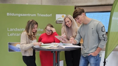 Die Triesdorfer Studenten beraten über die Einteilung der Ausstellungsflächen. (Foto: Sebastian Rosskopf)