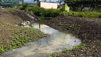 Die erste fertiggestellte Daueranlage: der verlängerte und nun mit Wasser gefüllte Bachlauf des Kühwasengrabens. (Foto: Bayerische Landesgartenschau Bad Windsheim 2027 GmbH)