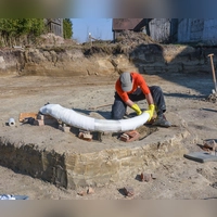 Das in Bayern entdeckte Mammut gibt Aufschluss auch über die Lebensweise der Steinzeitmenschen. (Handout)  (Foto: BLfD Landesamt für Denkmalpflege/dpa)