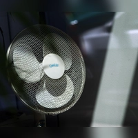 Im Büro aufgrund der Hitze einfach einen Ventilator aufstellen? Das geht nur, wenn der Arbeitgeber einverstanden ist. (Foto: Karl-Josef Hildenbrand/dpa/dpa-tmn)