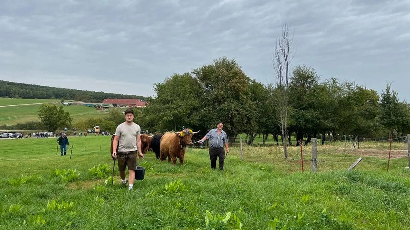 Karlheinz Heß (rechts) und sein Sohn Karlheinz machten sich zusammen mit ihren schottischen Hochlandrindern auf den Weg von der Sommer- zur Winterweide. (Foto: Friedrich Zinnecker)