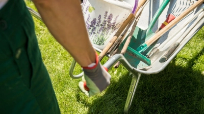 Gartenarbeit erledigt? Das Entsorgen von Schnittgut kann als haushaltsnahe Dienstleistung die Steuerlast drücken. (Foto: Christin Klose/dpa Themendienst/dpa-tmn)