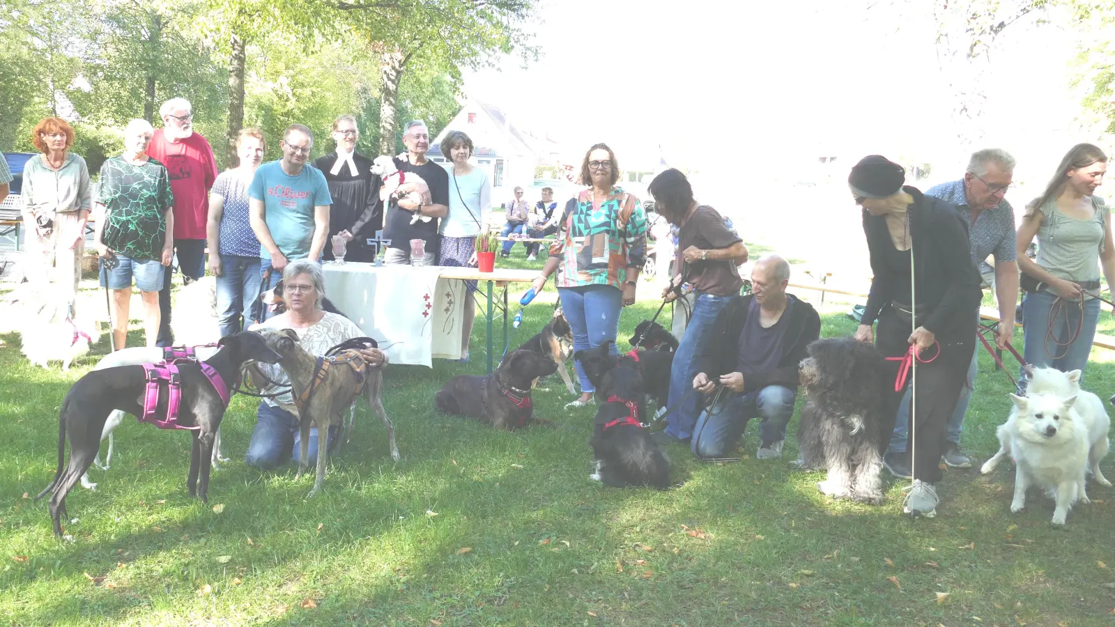 Hunde aller Größen, Rassen und Mischungen hatten sich auf dem Festplatz von Uffenheim eingefunden, um gemeinsam mit Dekan Max von Egidy den jetzt schon vierten Hunde-Gottesdienst gemeinsam zu feiern. (Foto: Sylvia Fehlinger)
