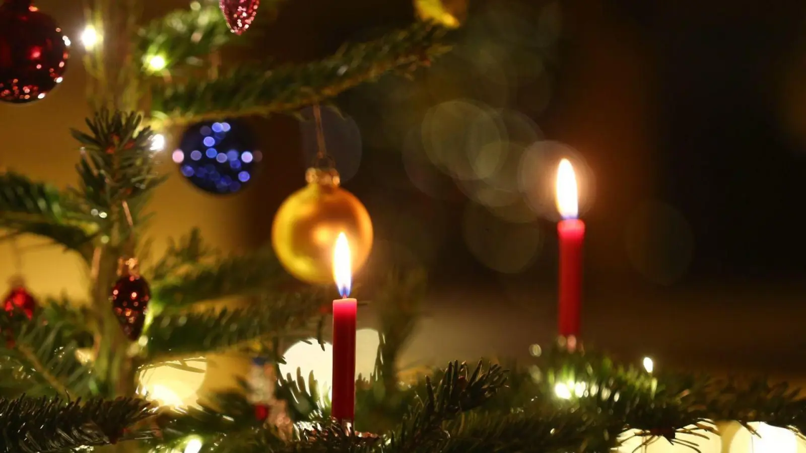 Der Weihnachtsbaum vor dem Dinkelsbühler Rathaus wurde an Heiligabend kurzerhand entwendet. (Symbolbild: picture alliance / Karl-Josef Hildenbrand/dpa)