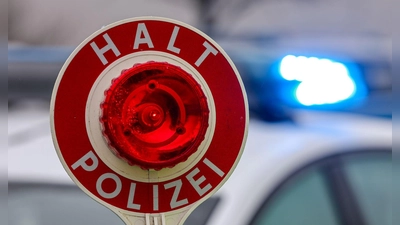 Die Beamten fanden bei einer Grenzkontrolle mehrere Geldbündel. (Symbolbild) (Foto: Jan Woitas/dpa)