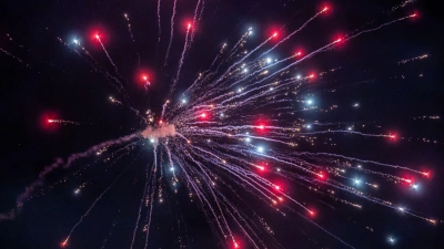 Ob die Bayern vom Feuerwerk vor dem Hotel gestört wurden? (Archivbild) (Foto: Silas Stein/dpa)