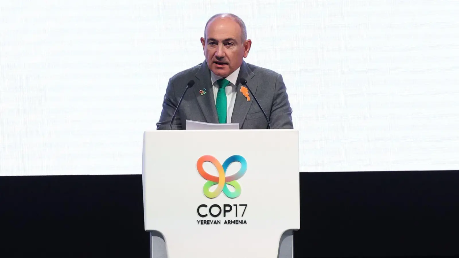Im Fokus der UN-Konferenz zur biologischen Vielfalt steht eine Zwischenbilanz zum Stand der selbstgesteckten Ziele für den Schutz der Artenvielfalt. Der armenische Ministerpräsident Nikol Paschinjan hält bereits einige Tage vor Beginn der Konferenz eine Rede.  (Foto: Vahram Baghdasaryan/PHOTOLURE via AP/dpa)