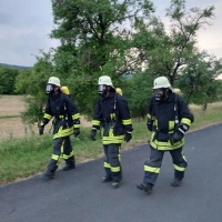 Christian Markert, Sebastian Endreß und Johannes Glemser (von links) trainieren seit Mitte März für die Teilnahme am Petersberglauf in Schutzausrüstung.  (Foto: Katrin Merklein)