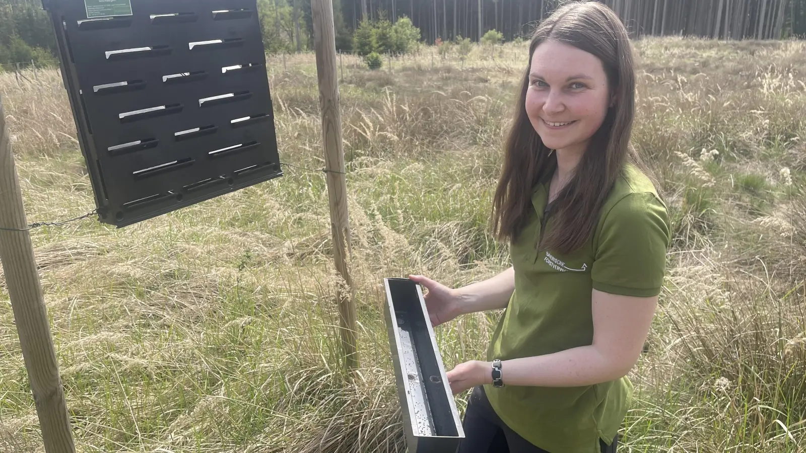 Die Revierförsterin Michaela Abt kontrolliert zwischen April und Ende September wöchentlich die vier Borkenkäferfallen im Staatswald bei Obersulzbach, um die tagesaktuellen Käferzahlen an das zentrale landesweite Monitoringportal weiterzuleiten. (Foto: Mara Stingl)