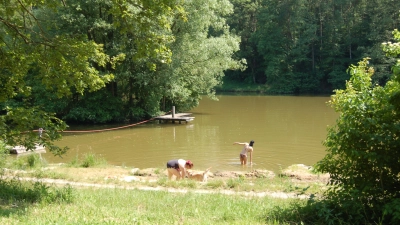 Der Schornweisacher Weiher ist einer der vier EU-Badeseen in der Region. (Foto: Christa Frühwald)