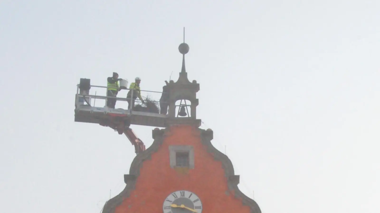 Vom Korb des Hubsteigers aus entfernten die städtischen Mitarbeiter das Geäst, aus dem die Störche ihre Nistplätze gebaut hatten. (Foto: Markus Weinzierl)