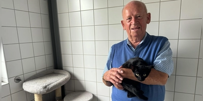 Die junge Katze aus dem Tierheim schaut neugierig in die Kamera. Sie gehört zu den 353 Katzen, die in diesem Jahr bislang in dem Domizil wohnten. So berichtet es dessen Chef Günter Pfisterer. (Foto: Oliver Herbst)