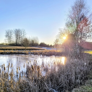 Sonniger Winternachmittag - gesehen bei Fetschendorf (Foto: Margit Lechner)